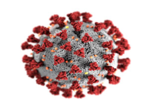 May 2020 – New update on electronic forms regarding Coronavirus allowance