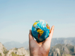 P. Constantinou & Co Ltd joins RBB International